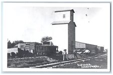 c1950's Grain Elevator Railroad Bureau County Yorktown IL RPPC Photo Postcard picture
