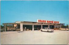 Vintage 1960s CLEARWATER Florida Advertising Postcard ORANGE BLOSSOM GROVES picture