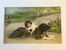Postcard St Bernard Victorian Child Girl Hand Colored Portrait c1910 picture