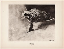 1927 Paris Photo Exhibition Contest - Un Paria~CH. A. Laurent photo print  L23 picture