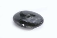 Larvikite Natural Healing Palm Stone Oval Smooth Polished Gemstone For Jewelry picture