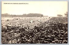 Postcard Scene Around Peapack-Gladstone NJ, field, baskets, workers picture