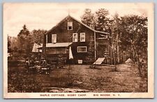 Maple Cottage. Higby Camp. Big Moose New York Vintage Postcard picture