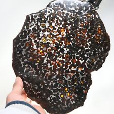 304g Sericho meteorite pallastie meteorite slice from Kenya  A2184 picture