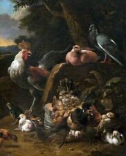Oil painting Poultry-and-Pigeons-Melchior-dHondecoeter-Oil-Painting Poultry-and- picture