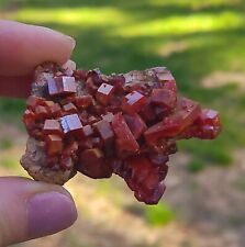 Vanadinite Large Bright Red Hoppered Crystals On Matrix From Morocco   6.4 Cm's picture