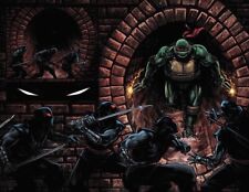 (TMNT) Teenage Mutant Ninja Turtles (2024) #1 Rooth Exclusive - PRESALE 7/24/24 picture