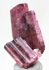 PINK TOURMALINE RUBELLITE Terminated Crystal Cluster Mineral Specimen RUSSIA picture