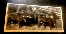 ORIGINAL 1909 Cattle Farm Cow Advertising - Keays & Oglesby - Illinois picture