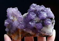 168g Natural Clear Purple Edge Fluorite Mineral Specimen/Guizhou  China picture