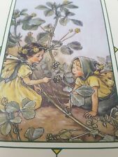 CICELY MARY BARKER FLOWER FAIRIES POSTCARD, THE BLACK MEDICK FAIRY P914/915 picture