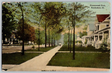 Antique Postcard~ Greenwood Avenue~ Kankakee, Illinois picture