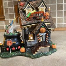 DEPT 56 SNOW VILLAGE COLLECTION HALLOWEEN THE CANDY CAULDRON 56.54609 2006-READ picture