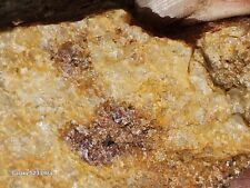 South Carolina Gold Silver Copper Iron Ore Specimen 385g #558 picture