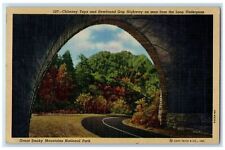 1949 Chimney Tops & Newfound Gap Great Smokey Mountain National Park Postcard picture