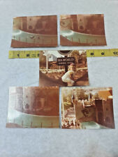 Vintage 1979 Lot of 5 Photos Sea World of Ohio Aurora Seals Girl ~ Ships FREE picture