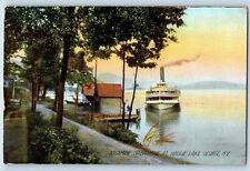 DPO (1895-1911) Hillview NY Lake George Postcard Steamer Sagamore At Hague 1909 picture
