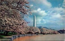 Washington Monument Cherry Blossoms Washington DC Postcard PM Cancel WOB Note picture