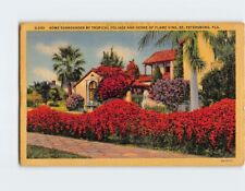 Postcard Home Surrounded by Tropical Foliage & Hedge of Flame Vine St Petersburg picture
