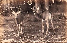 RPPC Walhalla MI Michigan Deer Buck Hunting Log Cabin Lodge Photo Postcard E38 picture