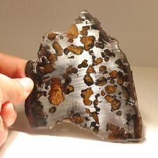 55g Rare slices of Kenyan Pallasite olive meteorite  A228 picture