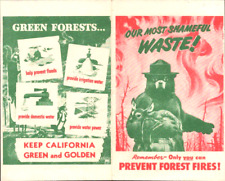 1949 SMOKEY BEAR firefighting pamphlet OUR MOST SHAMEFUL WASTE Sacramento, CA picture