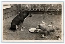 c1910's The Birds Paradise Dog Chicken Vancouver BC Canada RPPC Photo Postcard picture