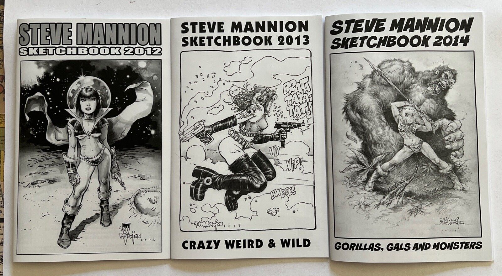 Steve Mannion Sketchbook Lot 2012, 2013, 2014 RARE Fearless Dawn Asylum Press