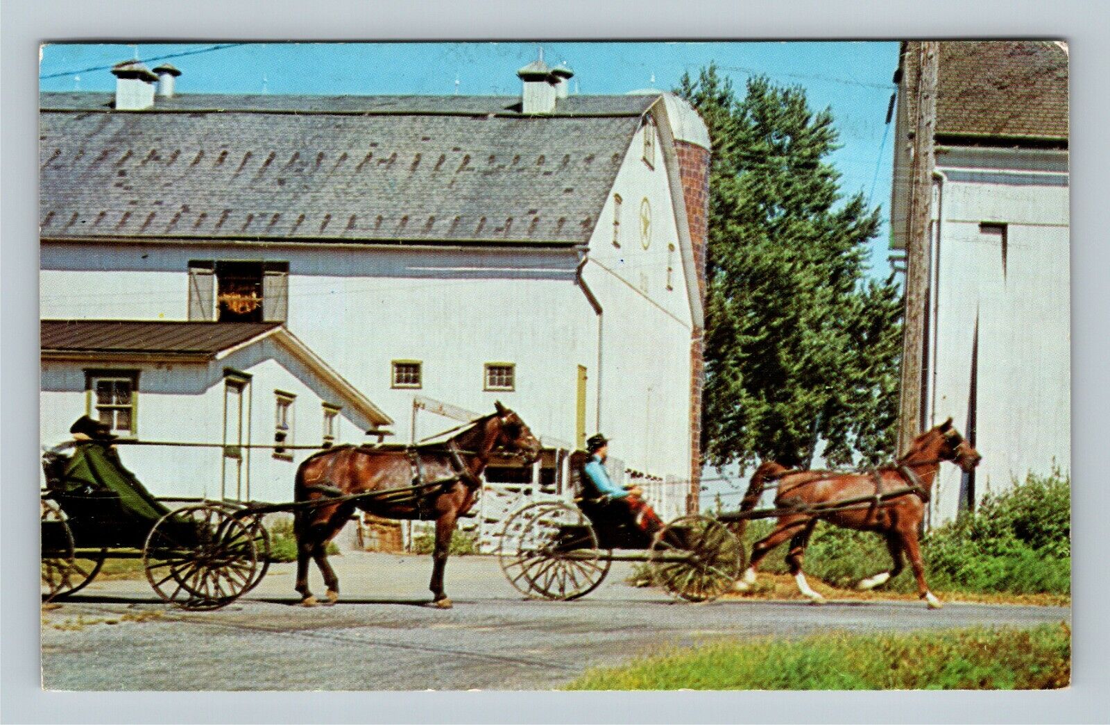 Amish Country, Horse & Buggy, Farm Buildings Vintage Pennsylvania c1963 Postcard