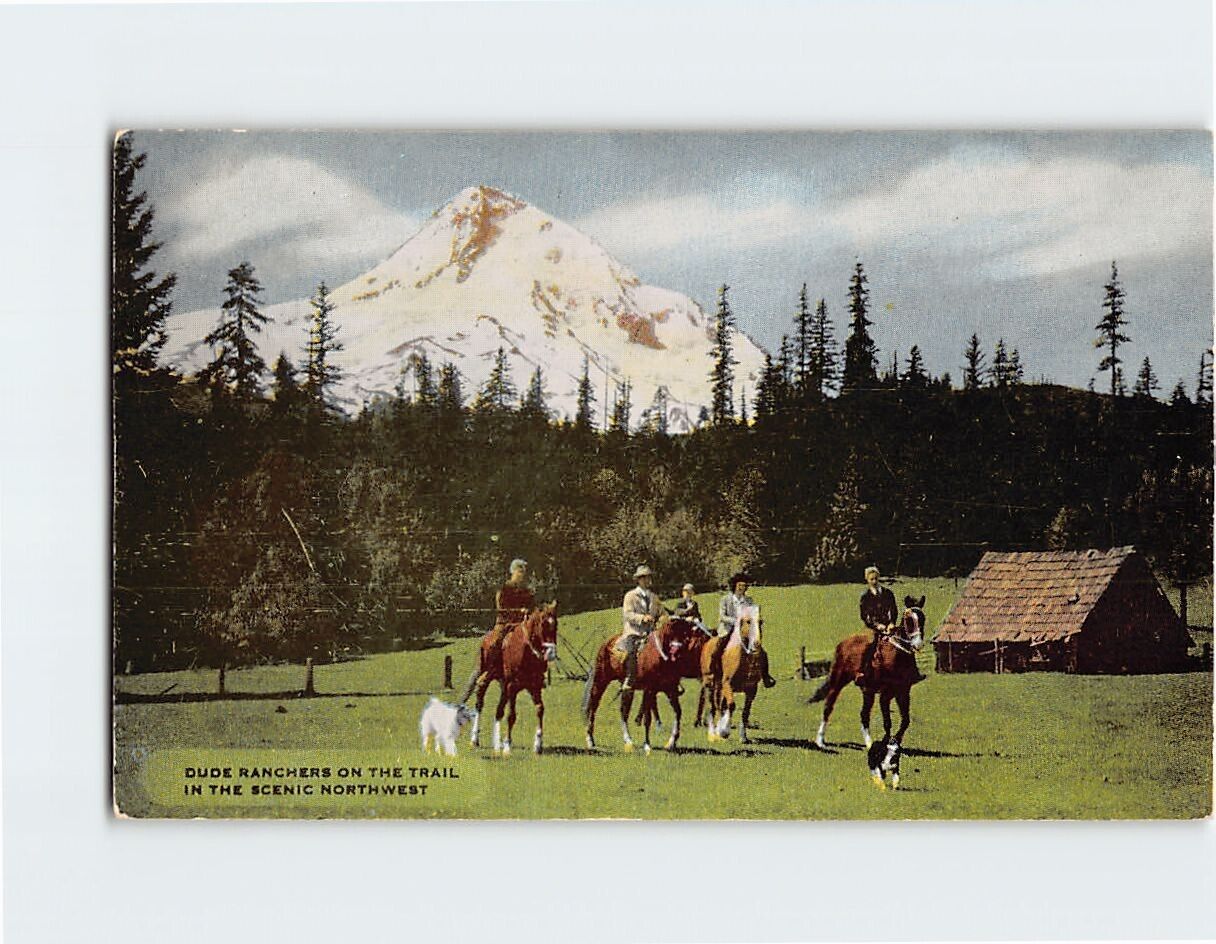 Postcard Dude Ranchers on the Trail in Scenic Northwest