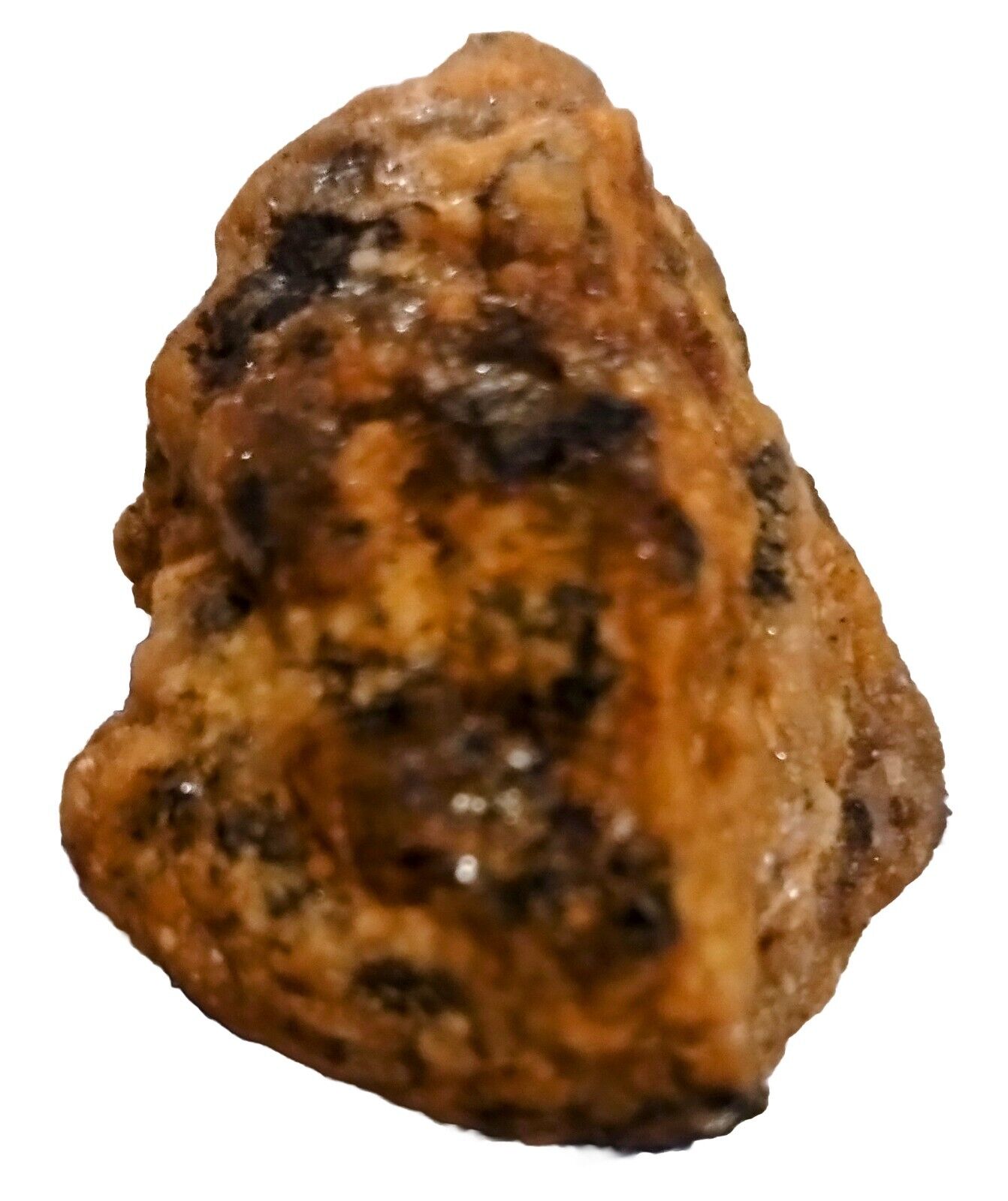 NWA 1877 Meteorite OLIVINE DIOGENITE RARE Northwest Africa HED Achondrite 19.5 G
