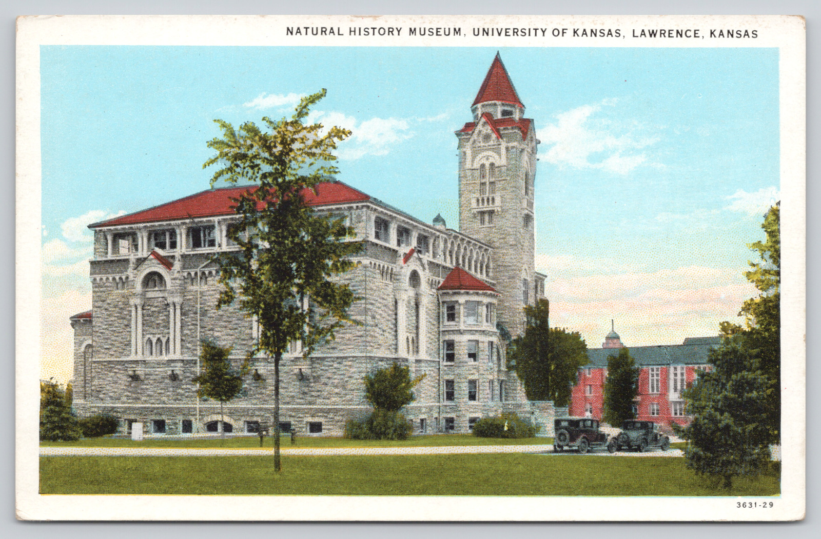 Postcard Lawrence, Kansas, University of Kansas, Natural History Museum A629