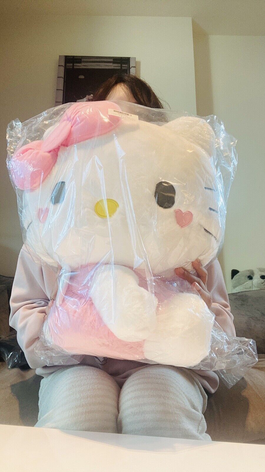 Brand New Hello Kitty Plush Angel Wing Tulle Sanrio Japan Authentic Giant 45cm