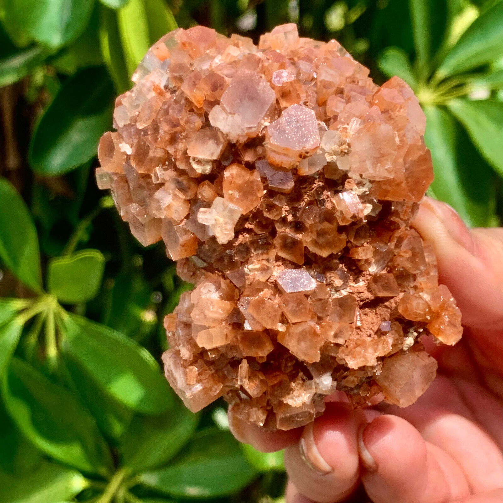 249g  Aragonite Star Cluster from Morocco - natural crystal healing gemstone