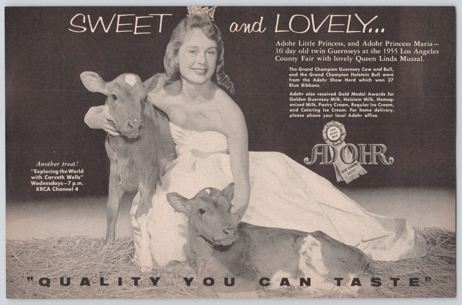 Vintage Print Ad California Los Angeles Adohr Milk Champion Cows 1955