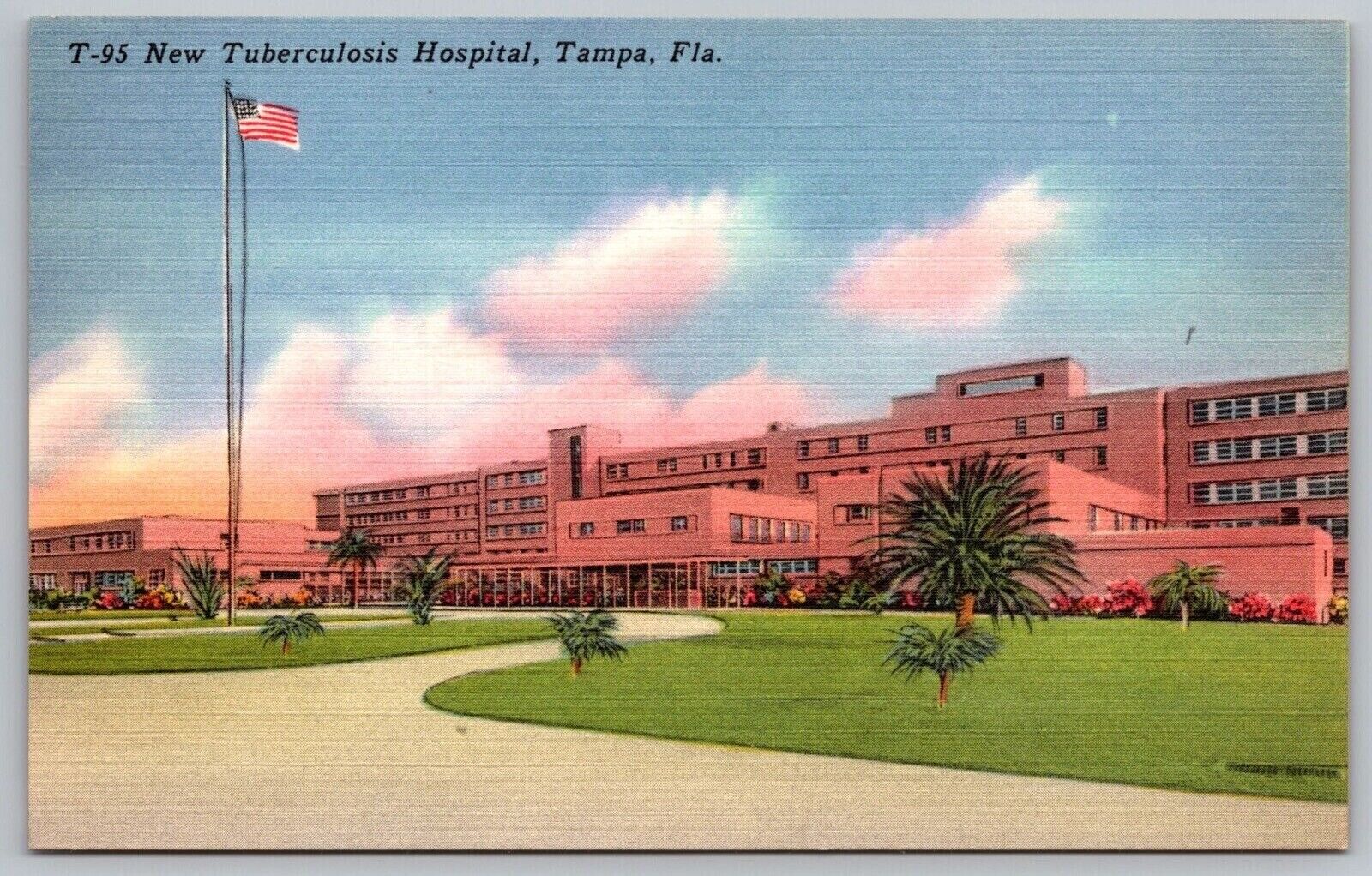New Tuberculosis Hospital In Tampa, Florida: T-95 Postcard