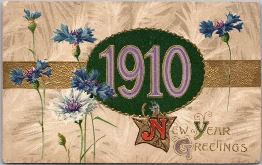 Vintage 1910 Embossed NEW YEAR GREETINGS Postcard Large \