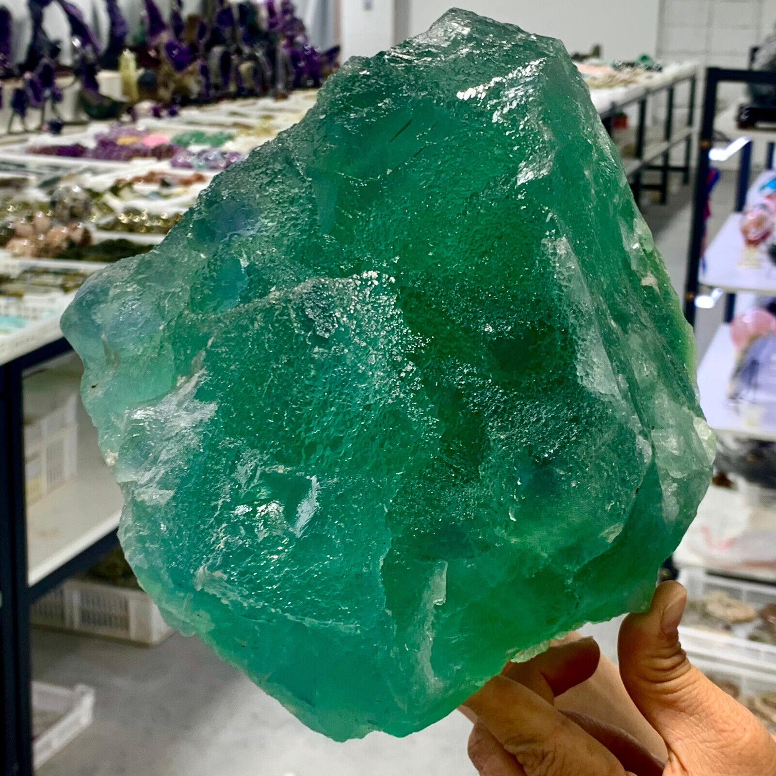 13.25LB  Rare green cubic fluorite mineral crystal sample / China