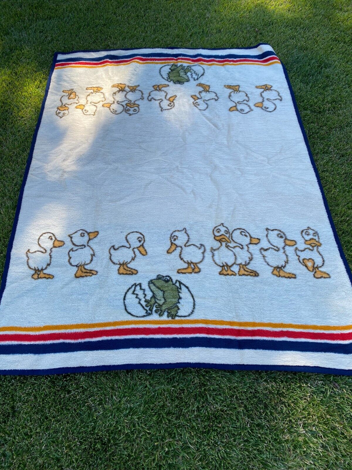 Vintage Biederlack Blanket surprise ducks hatching frog 78 x56 reversible (A2)