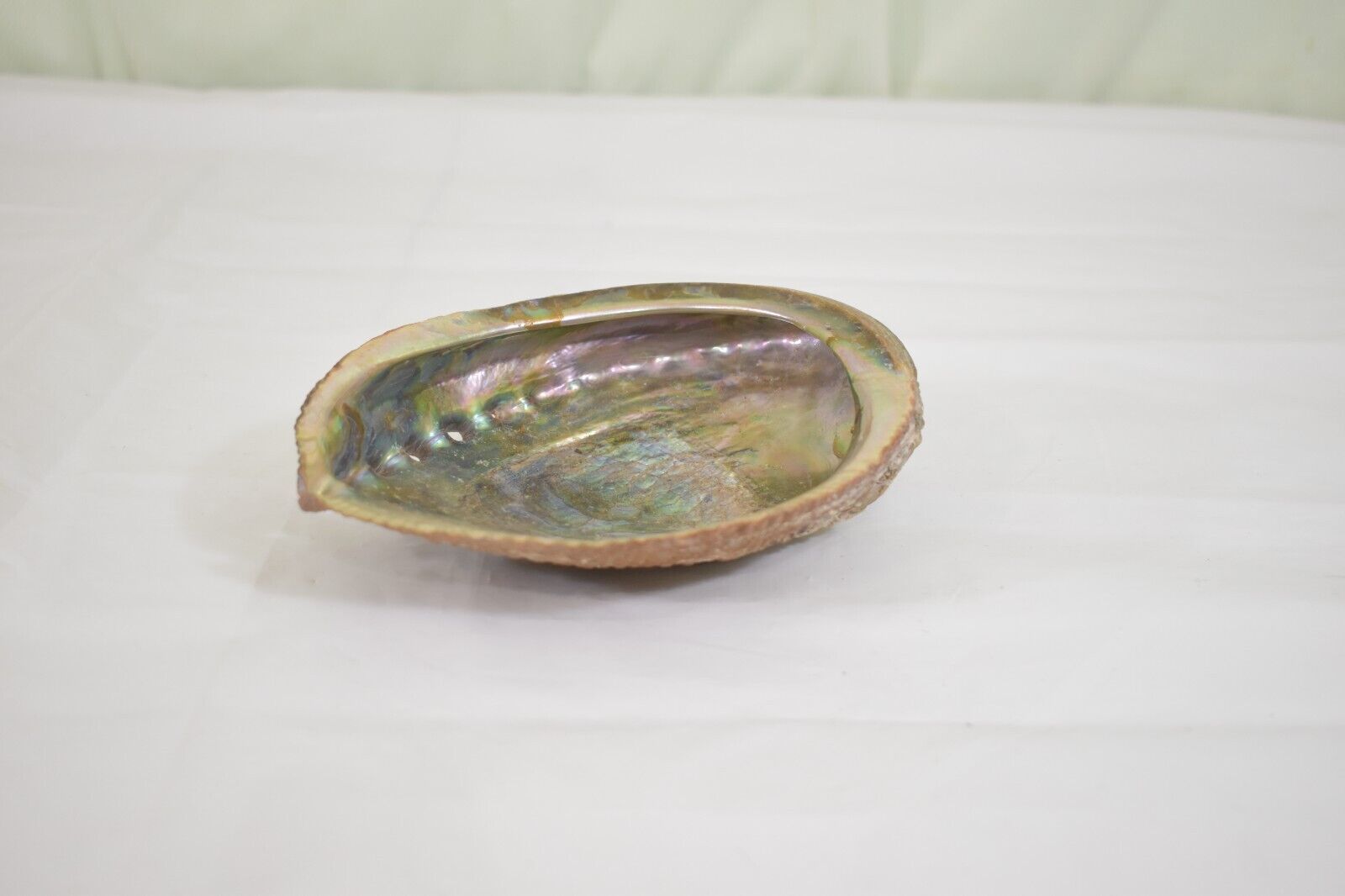 Vintage Clam Shell Shaped Alabaster Stone Trinket Dish Beautiful