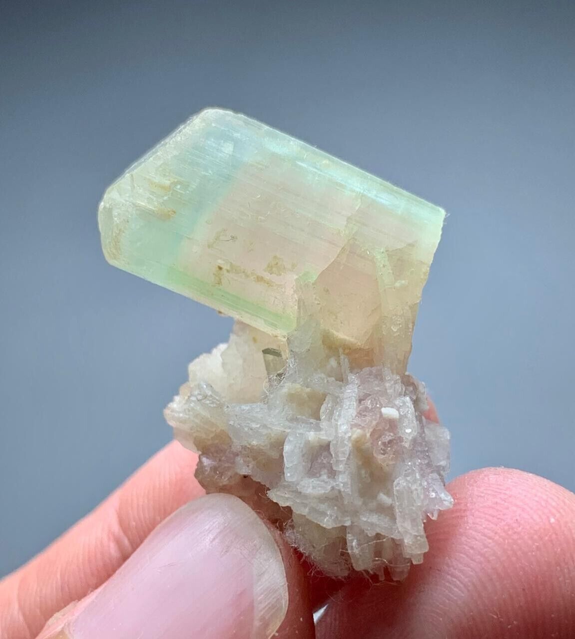 55 Carats Bi Color Tourmaline Crystal Specimen From Afghanistan