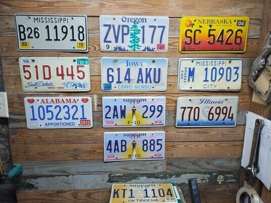 Variety of 10 expired 2013 Mixed State craft condition License Plate  B26 11918