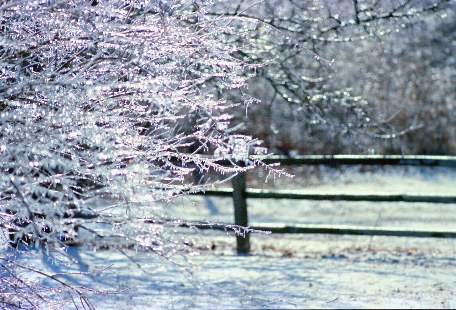 Four Original 35 mm Color Negatives Ice Storm in Columbus Ohio 1989 C