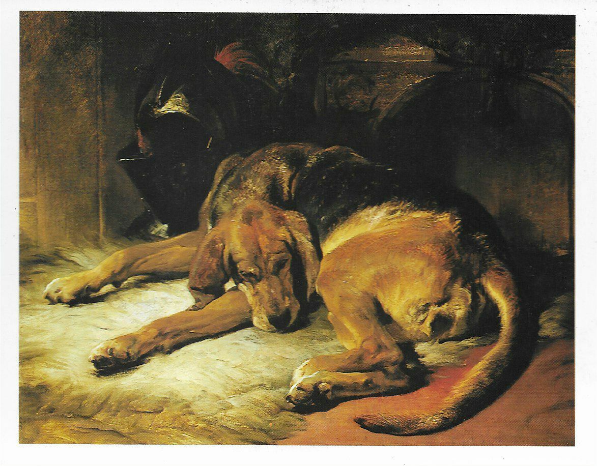 Bloodhound Sleeping - Color Postcard Dog Art Print - Matted 