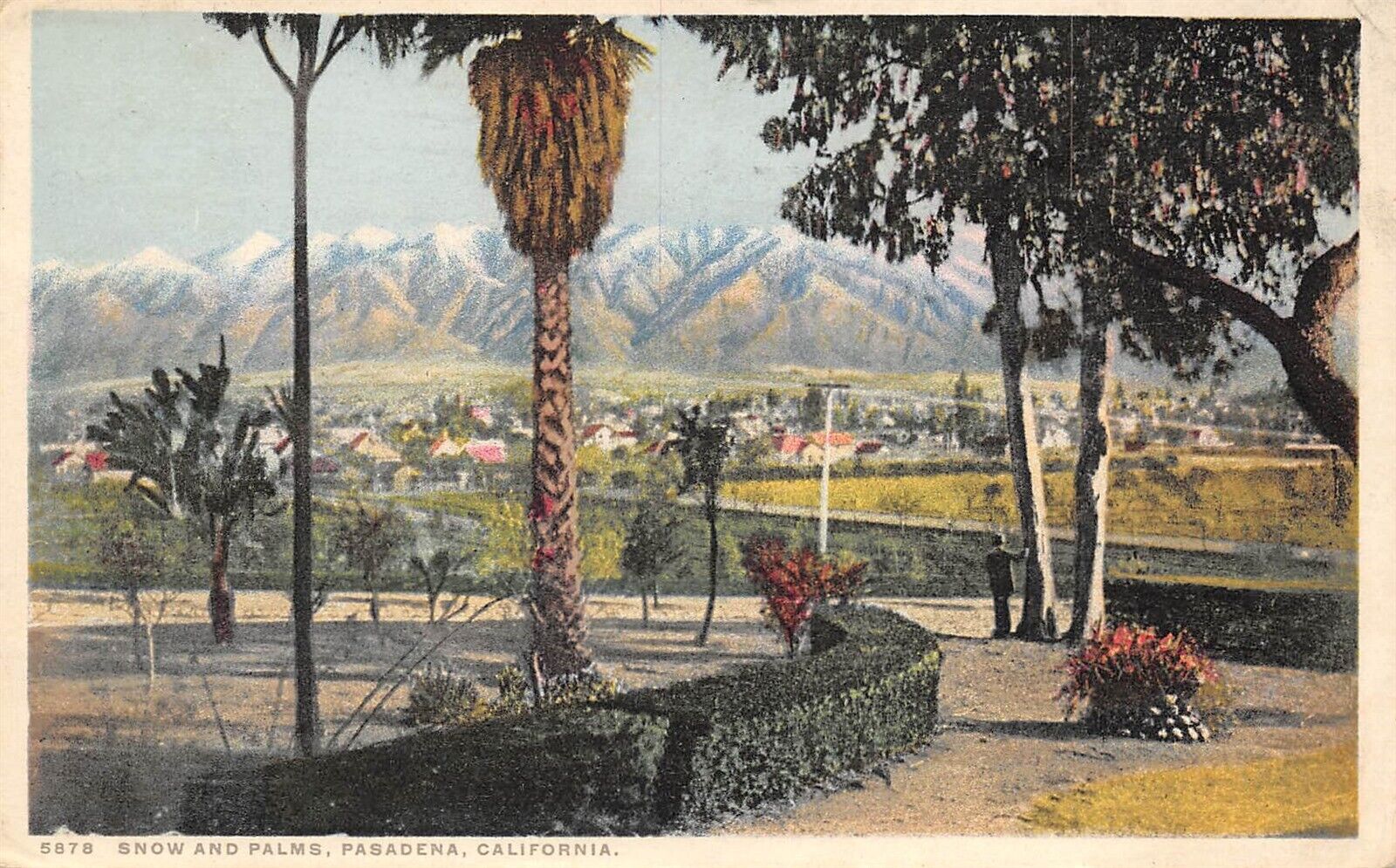 Pasadena California 1924 Postcard Snow and Palms 