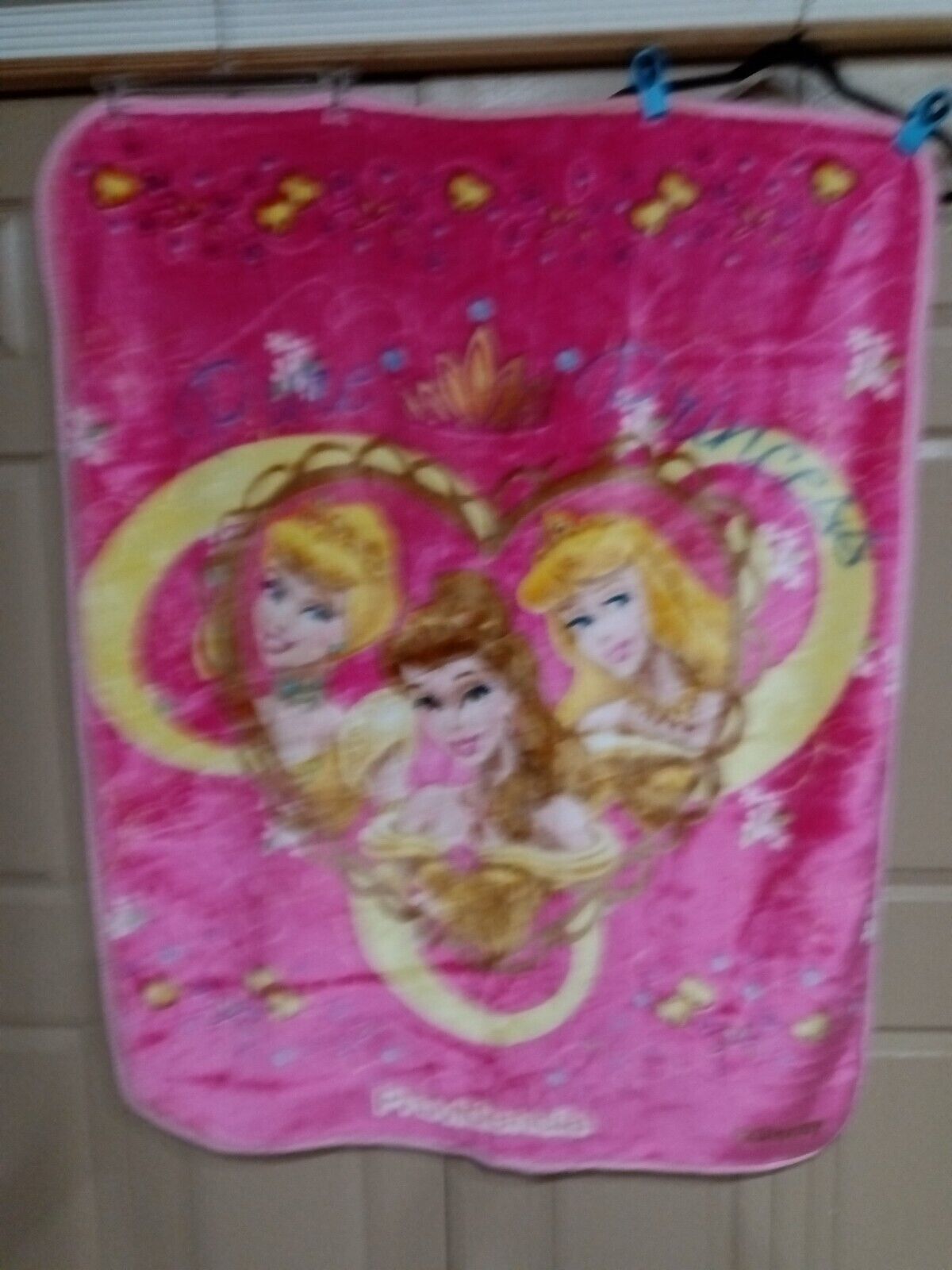 Disney 40 x 50 Pure Princess Throw Blanket Super Soft