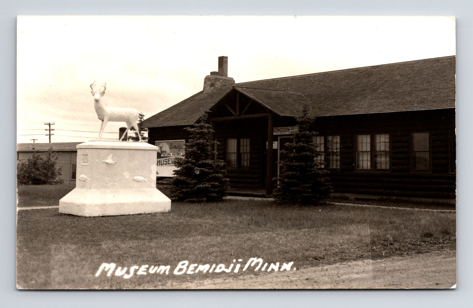 RPPC Bemidji Natural History Museum & Buck Statue Bemidji Minnesota MN Postcard