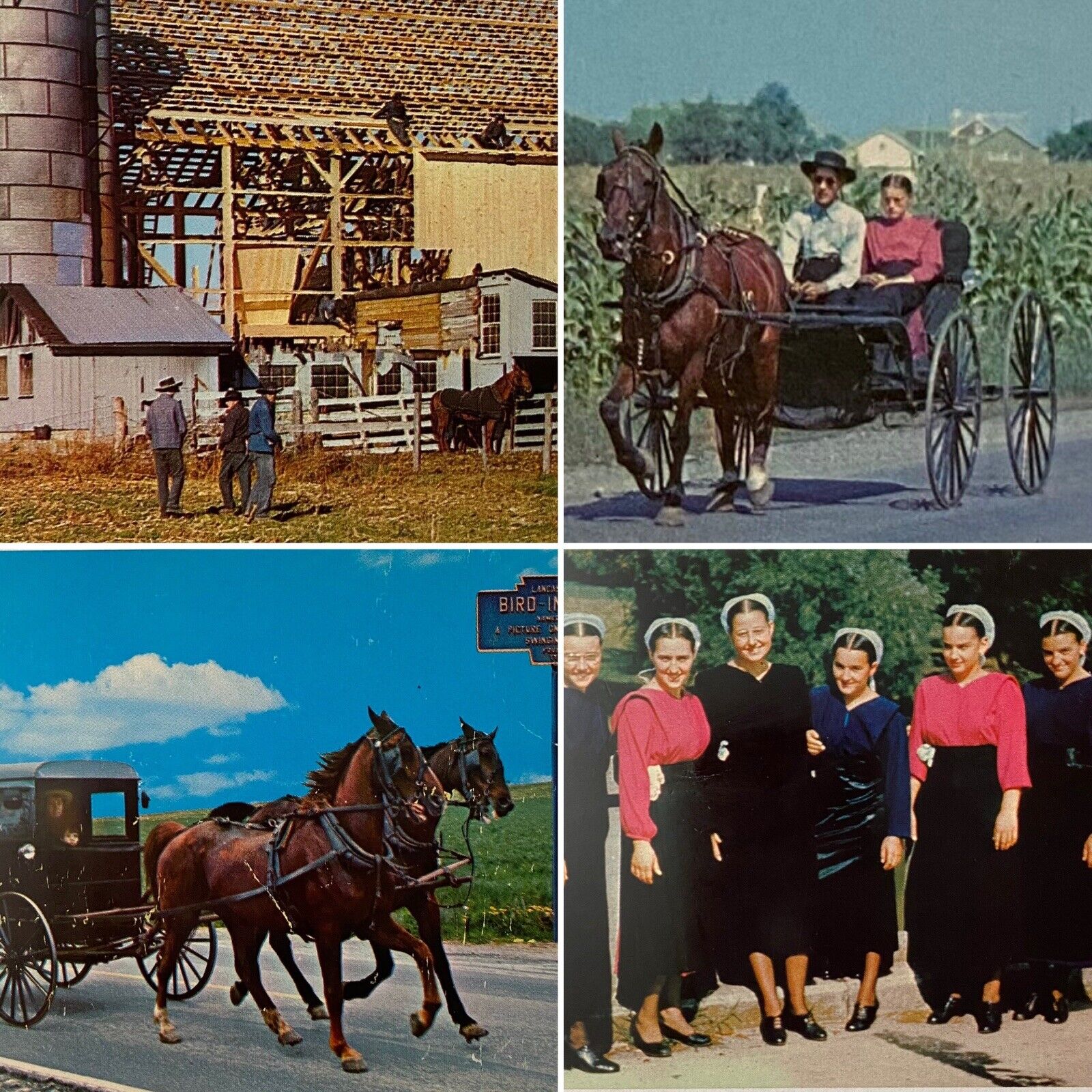 Postcard PA Amish Country Courting Buggy Barn Raising Marshall Dussinger Lot 4