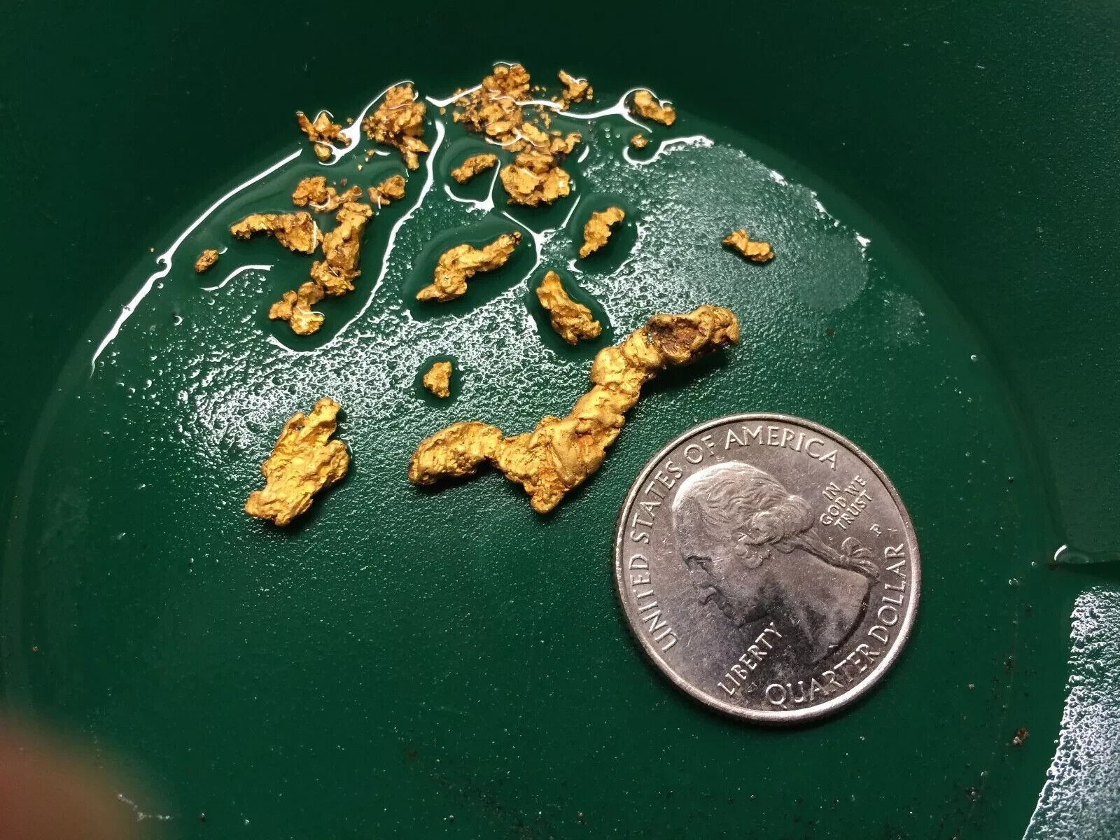 15LB - 30LB Gold Paydirt AMERICAN Gold Nugget Pay Dirt Concentrate Flakes Nugget