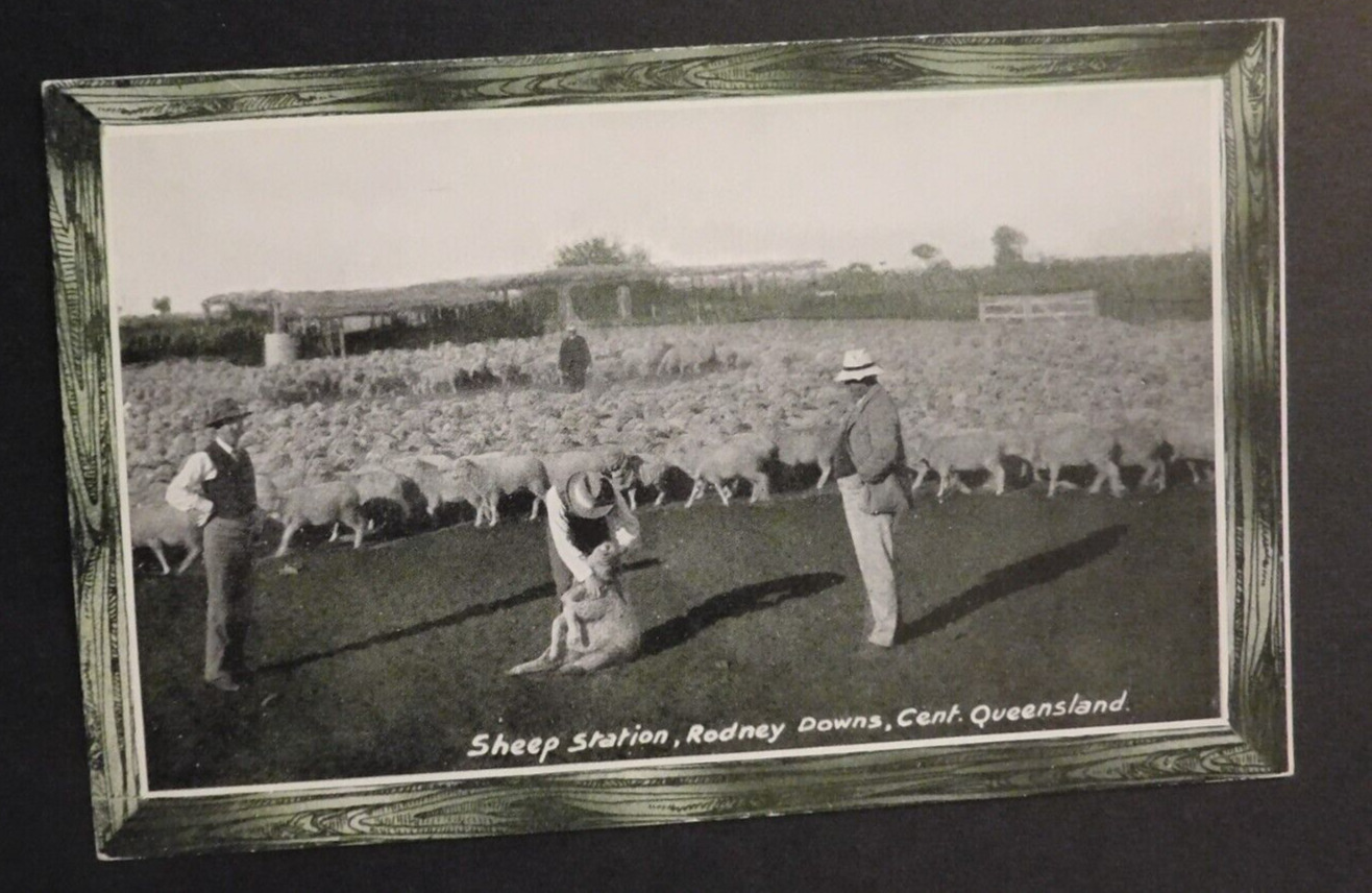 Mint Australia Postcard Sheep Station Rodney Downs Queensland